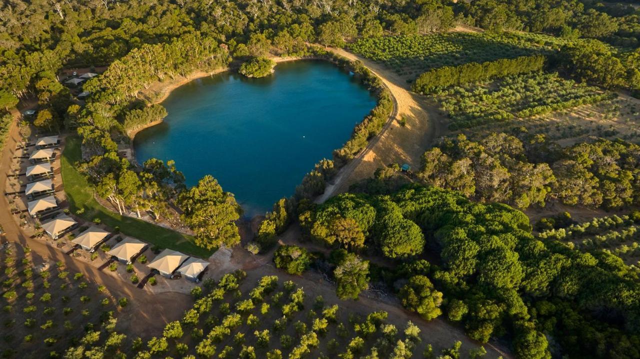 Olio Bello Lakeside Glamping Cowaramup Ngoại thất bức ảnh