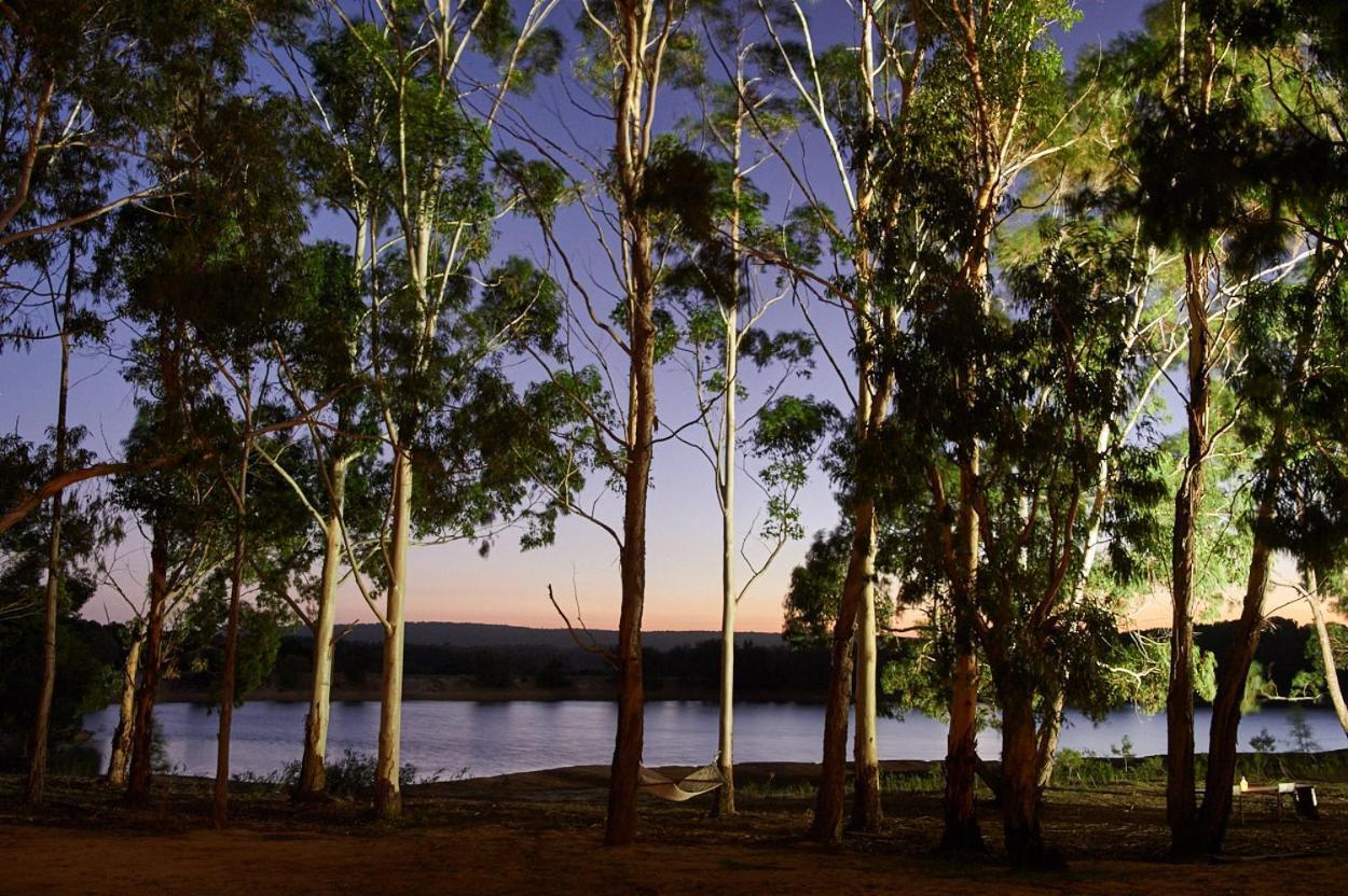 Olio Bello Lakeside Glamping Cowaramup Ngoại thất bức ảnh